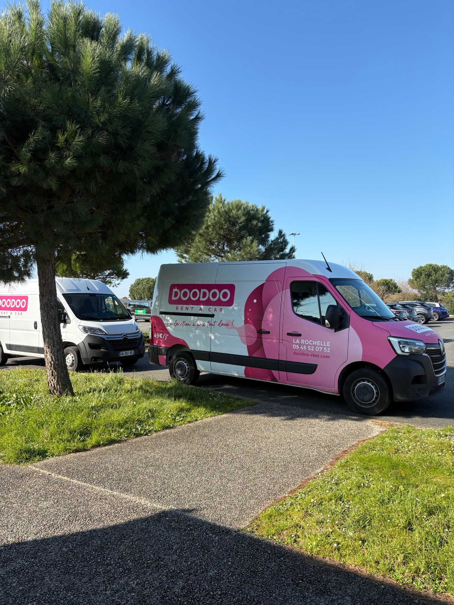 Two DOODOO branded vans parked side by side